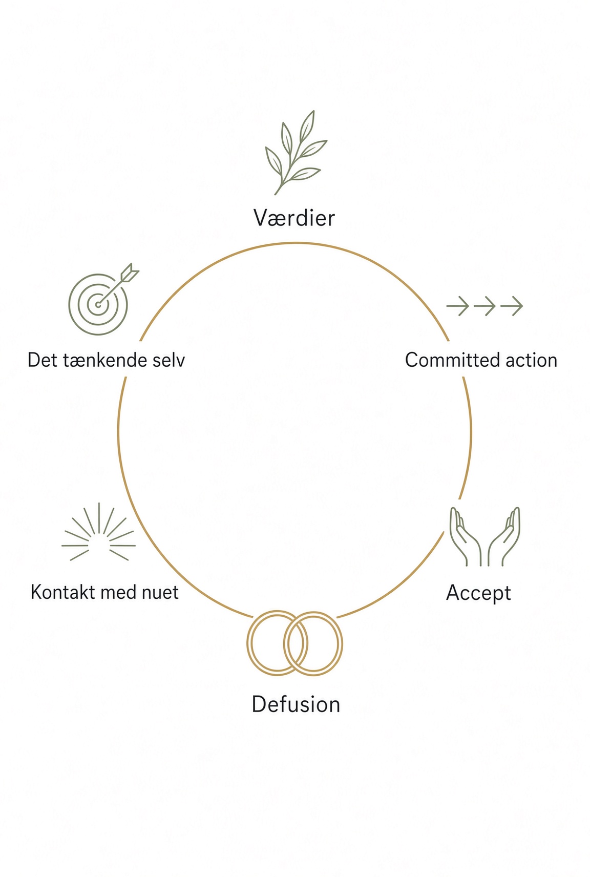 ACT-modellens seks processer: Værdier, Committed action, Accept, Defusion, Kontakt med nuet, Det tænkende selv